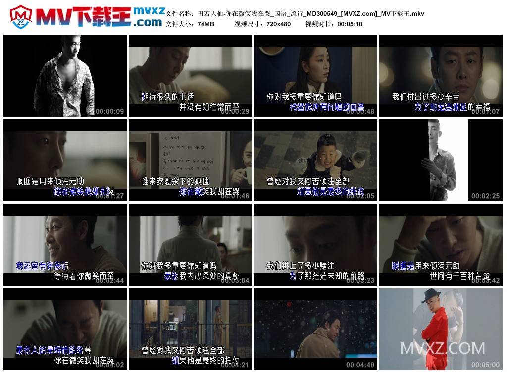 丑若天仙-你在微笑我在哭_国语_流行_MD300549